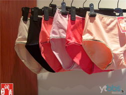 源頭好貨，一站購齊——廠家直銷日用百貨、針織品、服裝批發零售